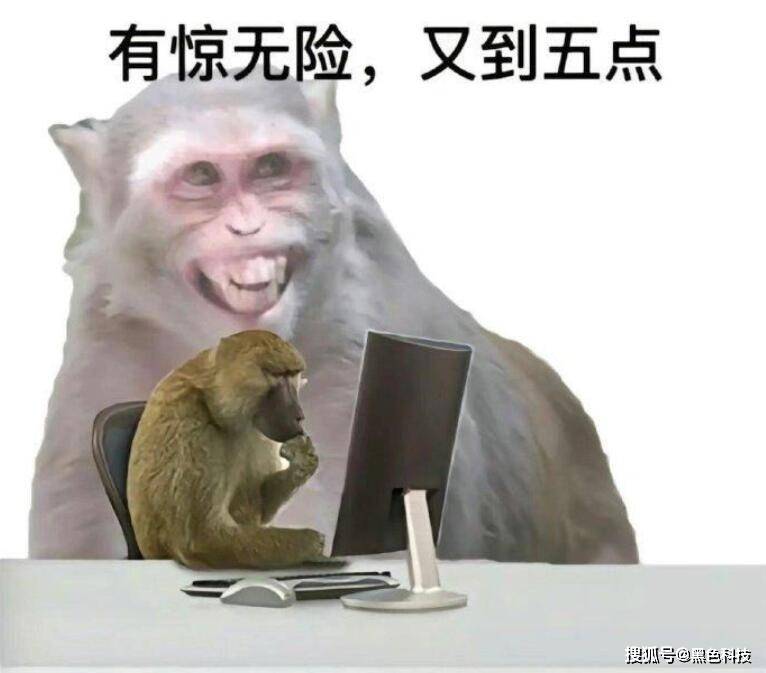 奇特的折纸折完后惊呆了！米乐m6一网友发现一款