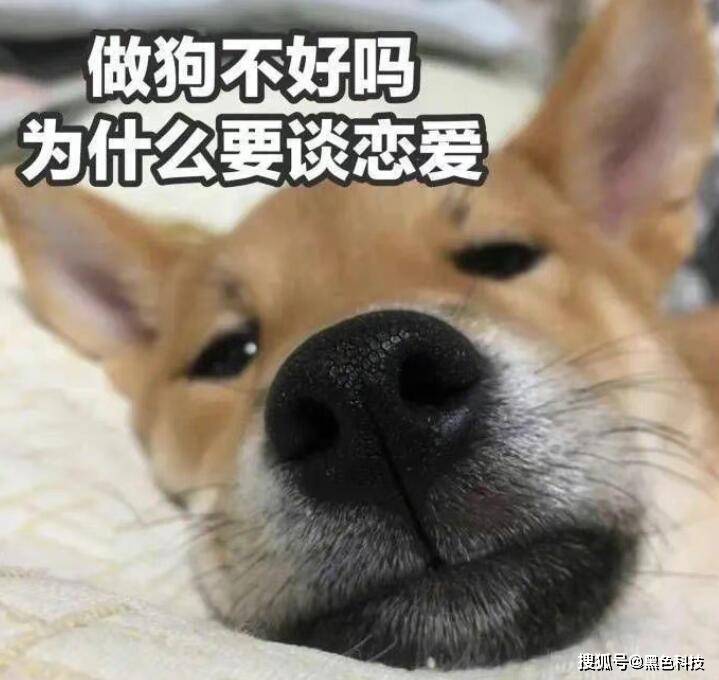 奇特的折纸折完后惊呆了！米乐m6一网友发现一款(图5)