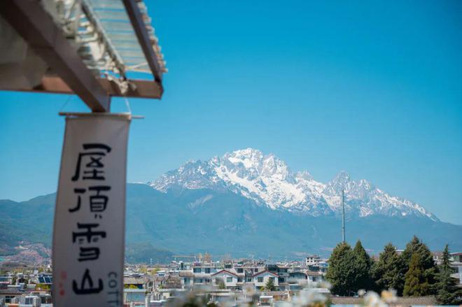 到丽江后竟拿屋顶来赚钱！【读本头条】重庆美女嫁(图11)