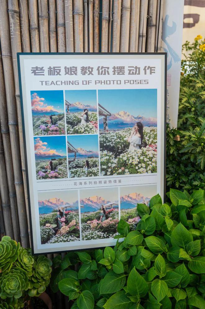 到丽江后竟拿屋顶来赚钱！【读本头条】重庆美女嫁(图25)
