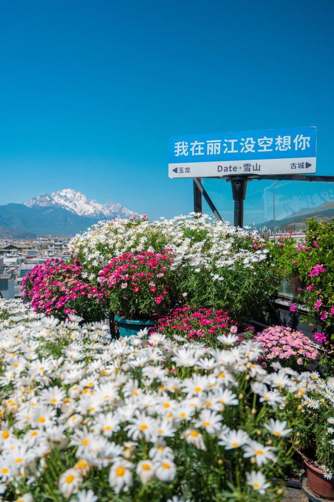 到丽江后竟拿屋顶来赚钱！【读本头条】重庆美女嫁(图19)